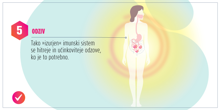 odziv