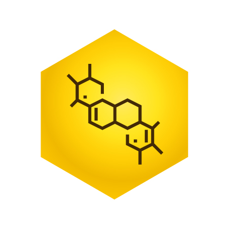 beljakovine